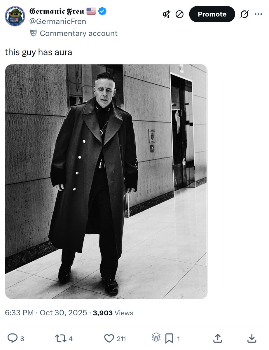 𝕲𝖊𝖗𝖒𝖆𝖓𝖎𝖈 𝕱𝖗𝖊𝖓 🇺🇲 tweet media