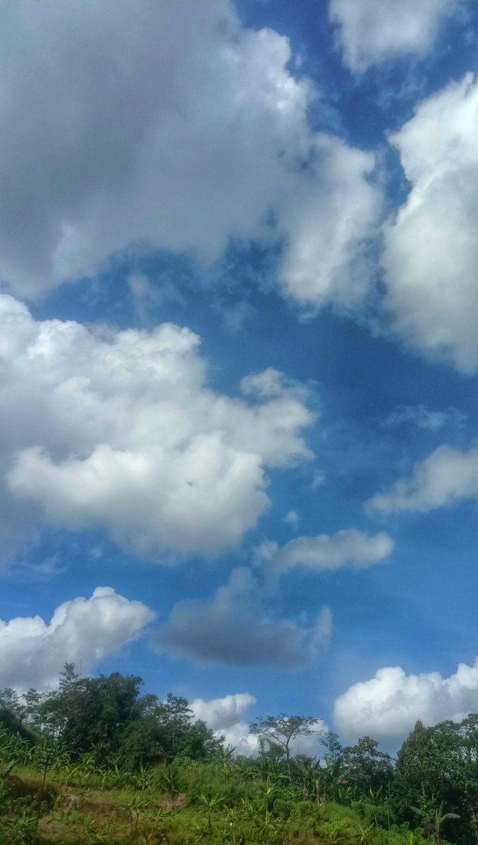 meyviya's tweet image. #walking

what a privilege to be able to see, hear, breathe, walk &amp;amp; talk.