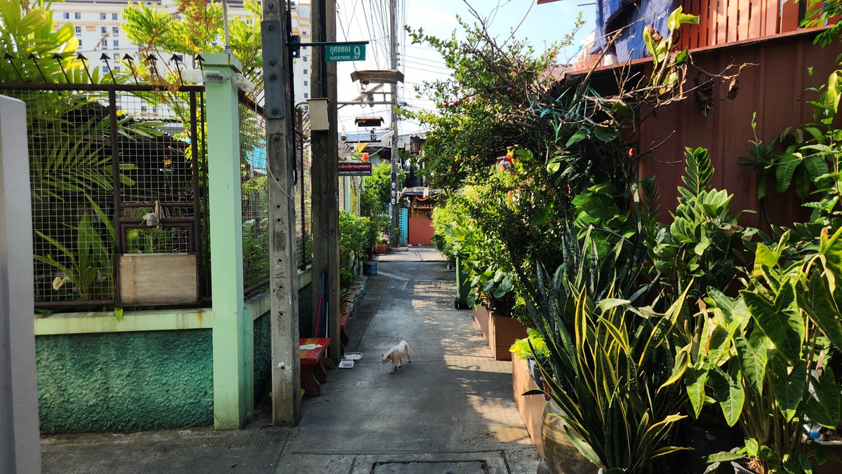 misterkwai's tweet image. A little walk. (7 km)

#walking