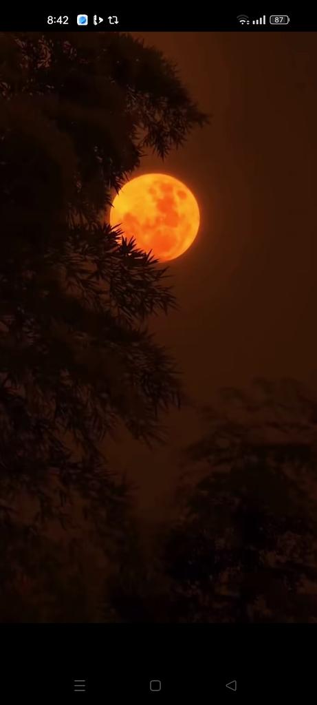 Moon Lovers tweet media