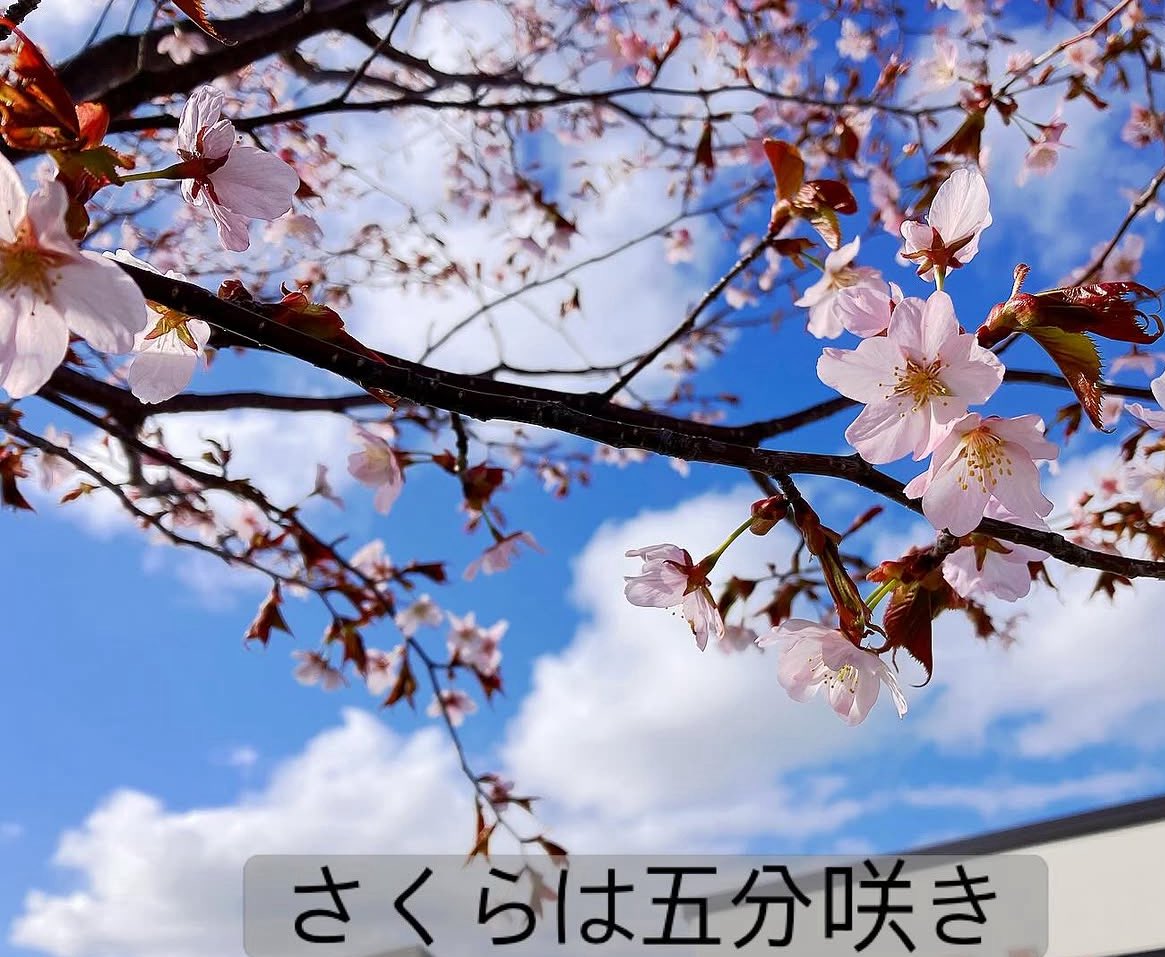 YAMAtune_JP's tweet photo. Higashikawa Running Club
By EZO TRAIL
祝日水曜ラン。
桜が咲いたので、キトウシの森までランニング。
桜まつりが行われる今日、綺麗な色に染まっていま��た。
次回は5/3(日)6:00am 東川道草館集合です。
ご参加お待ちしています!
#higashikwa #morningrun #higashikawarc
#yamatune https://t.co/g7zlwztqTU