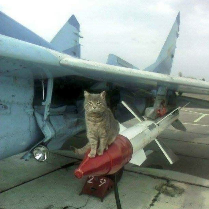 Air Power tweet media