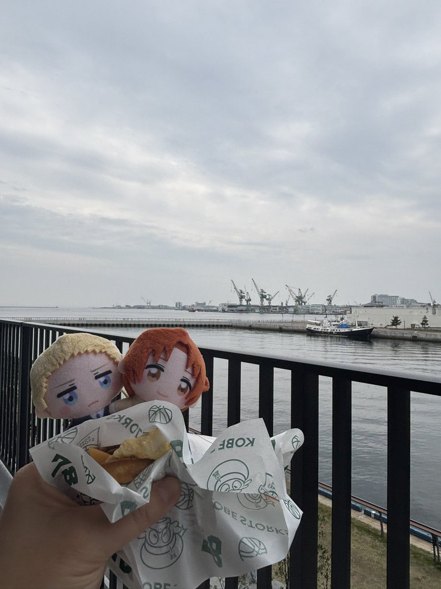 せいる☕︎低浮上 tweet media