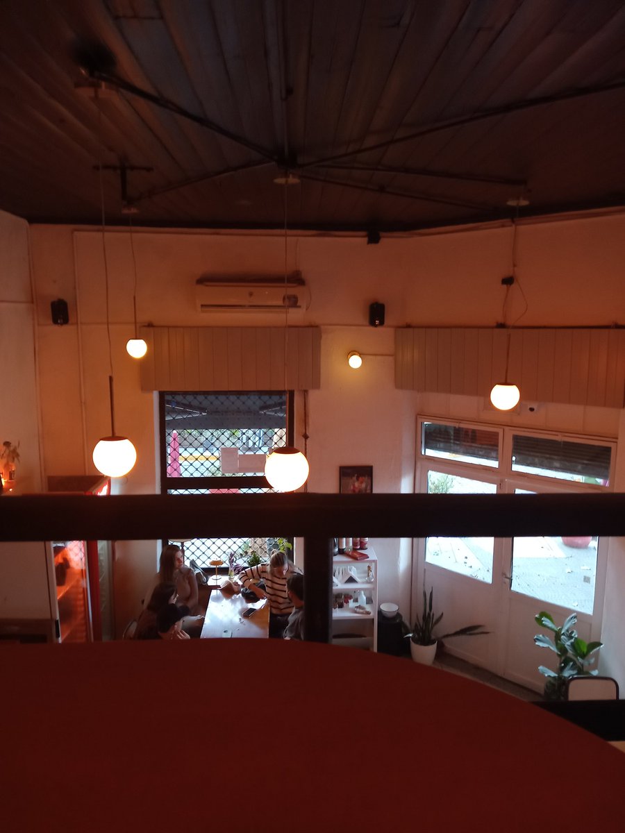 samilu 🐾 tweet media