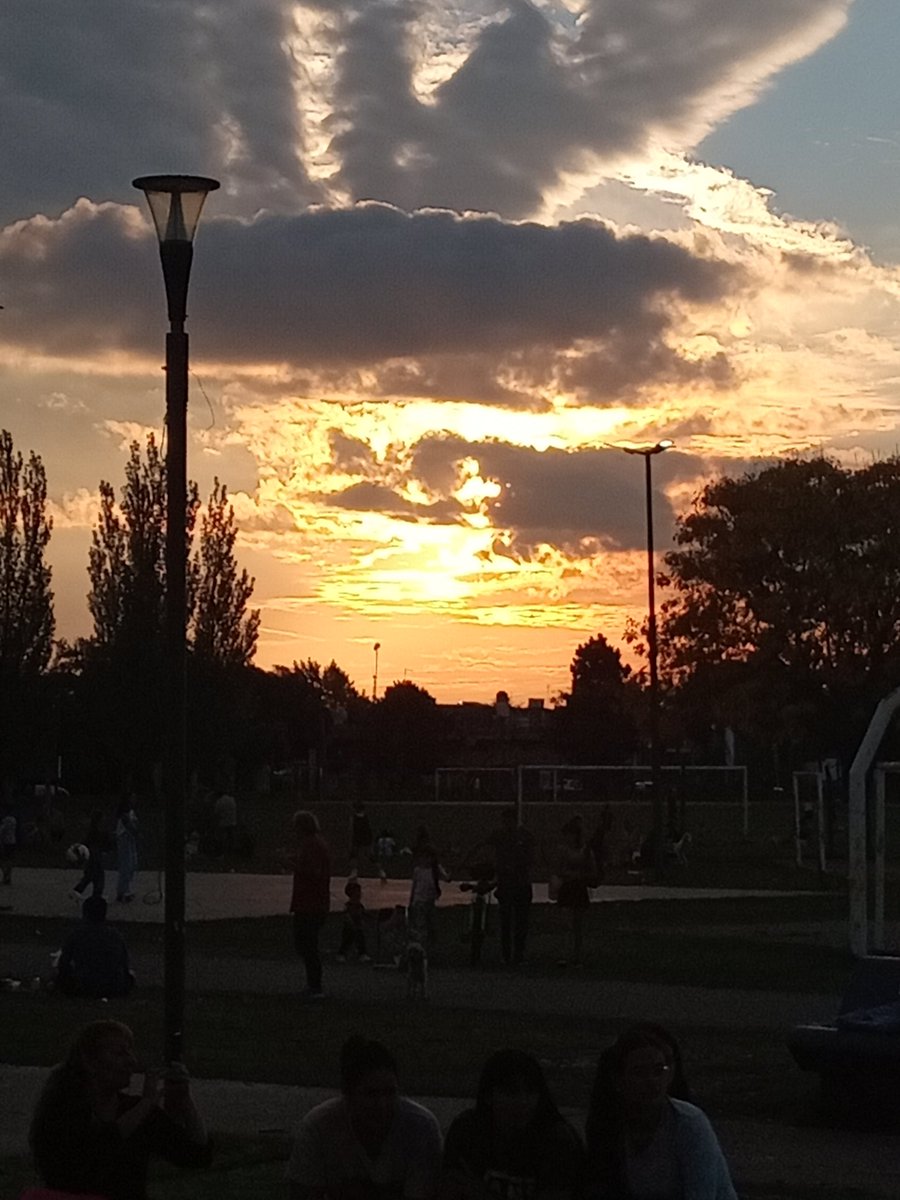 samilu 🐾 tweet media