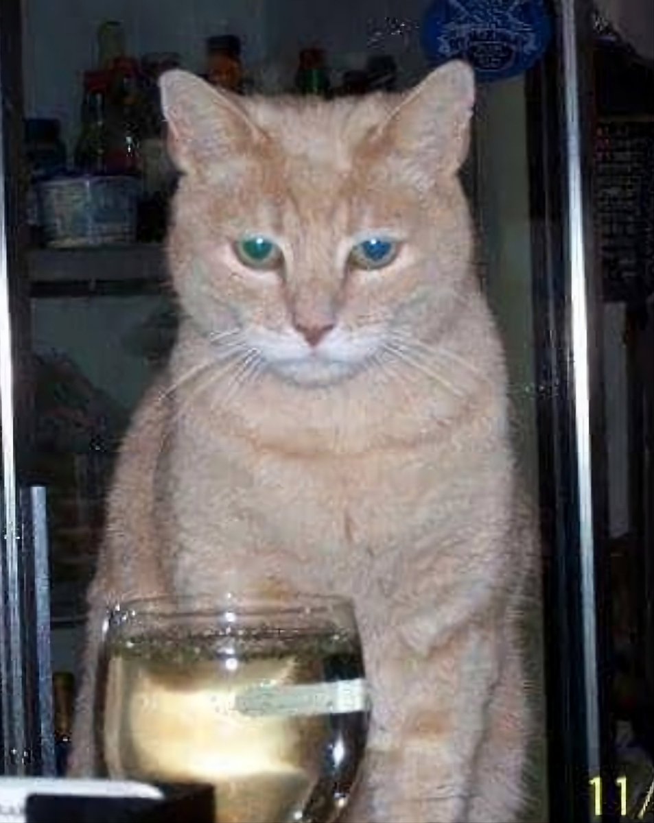 Dravenwe tweet media