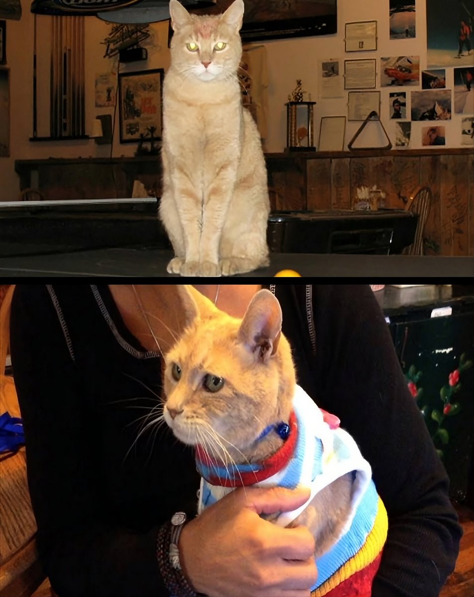 Dravenwe tweet media