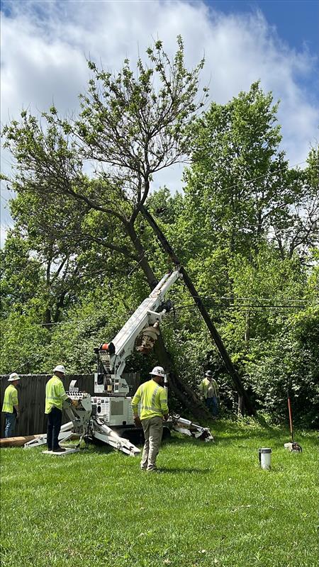 AES Indiana tweet media