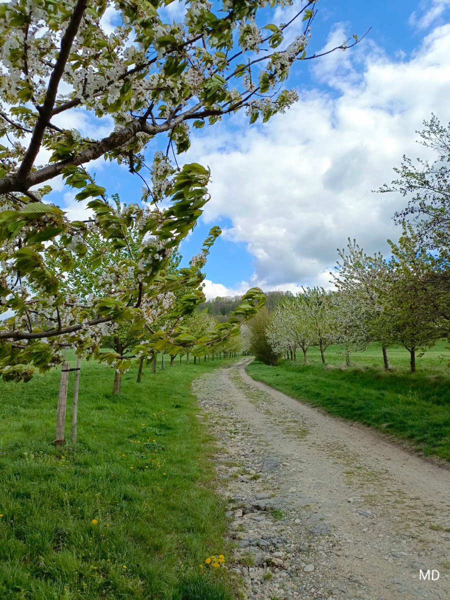 Martina Dvorská tweet media