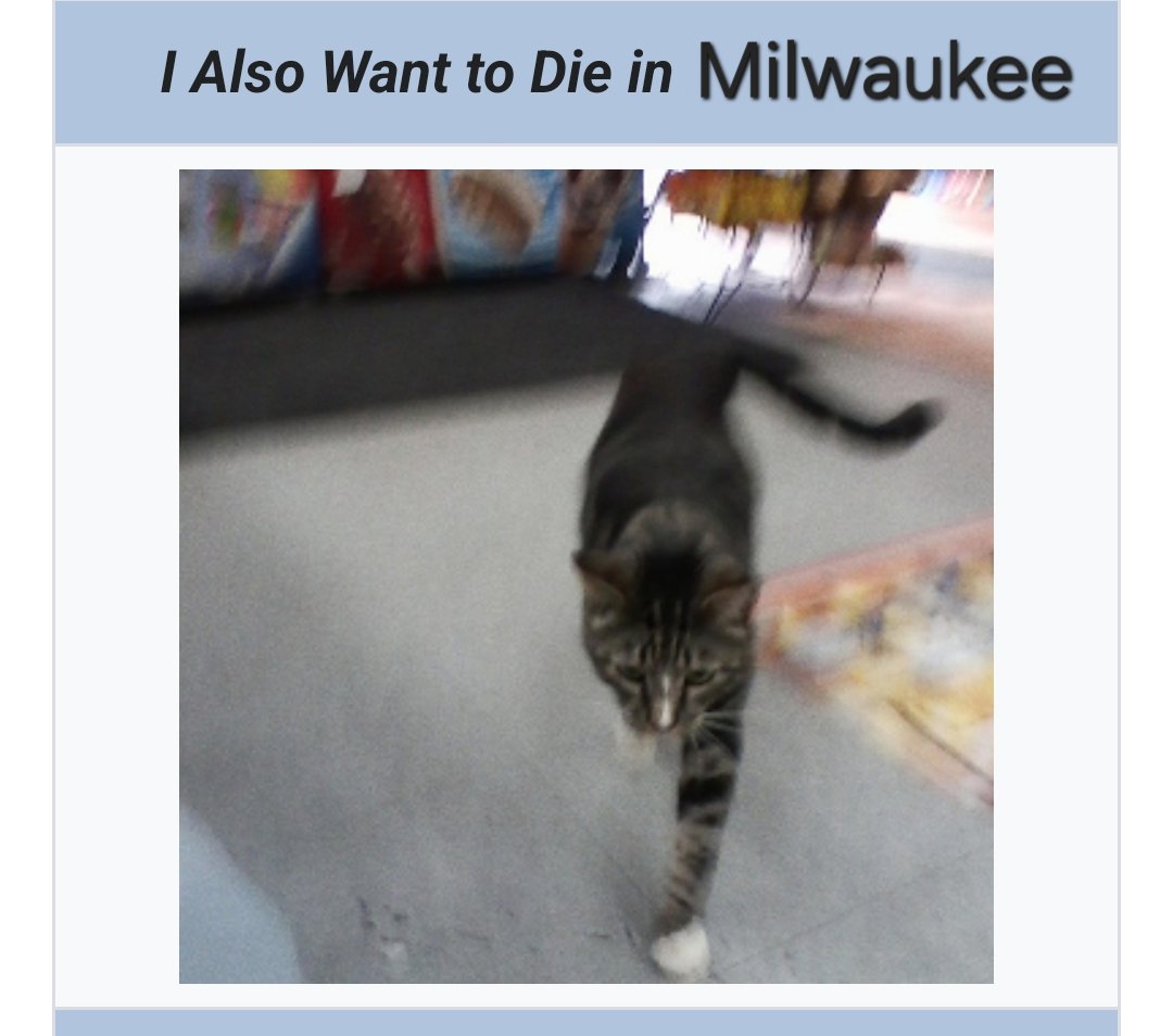 WI Area Garfield Fan Club 🐈 tweet media