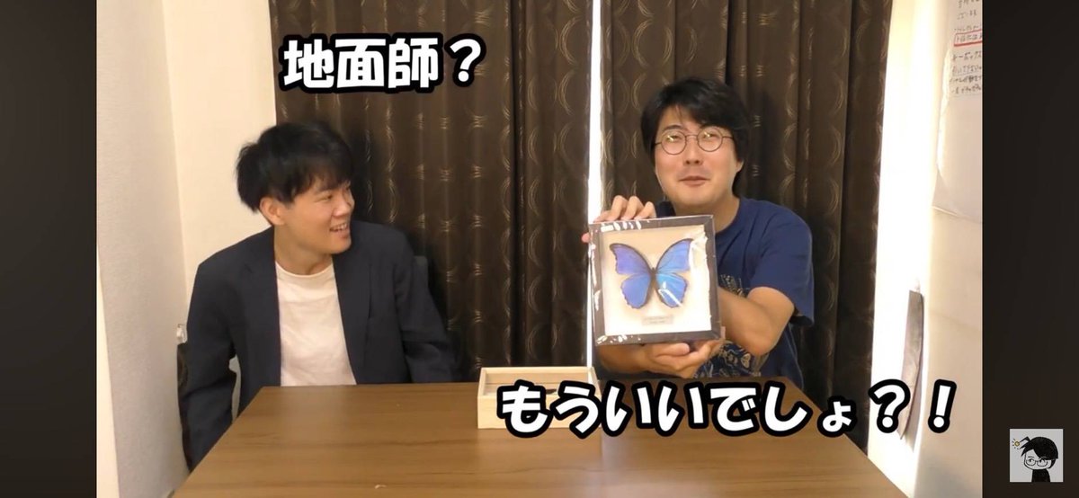 horikawa_bug's tweet photo. 「#堀川ランプの昆虫列伝」最新回です！

今回はミイロタテハについて！
高い値段で取引されているこの蝶の理由とは…？？
理由を考えながらぜひ見てください！！

📱→ https://t.co/KhFvfA0J6j

#ミイロタテハ https://t.co/QcP2p0UU3Z
