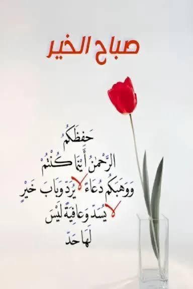 محمد خبراني tweet media