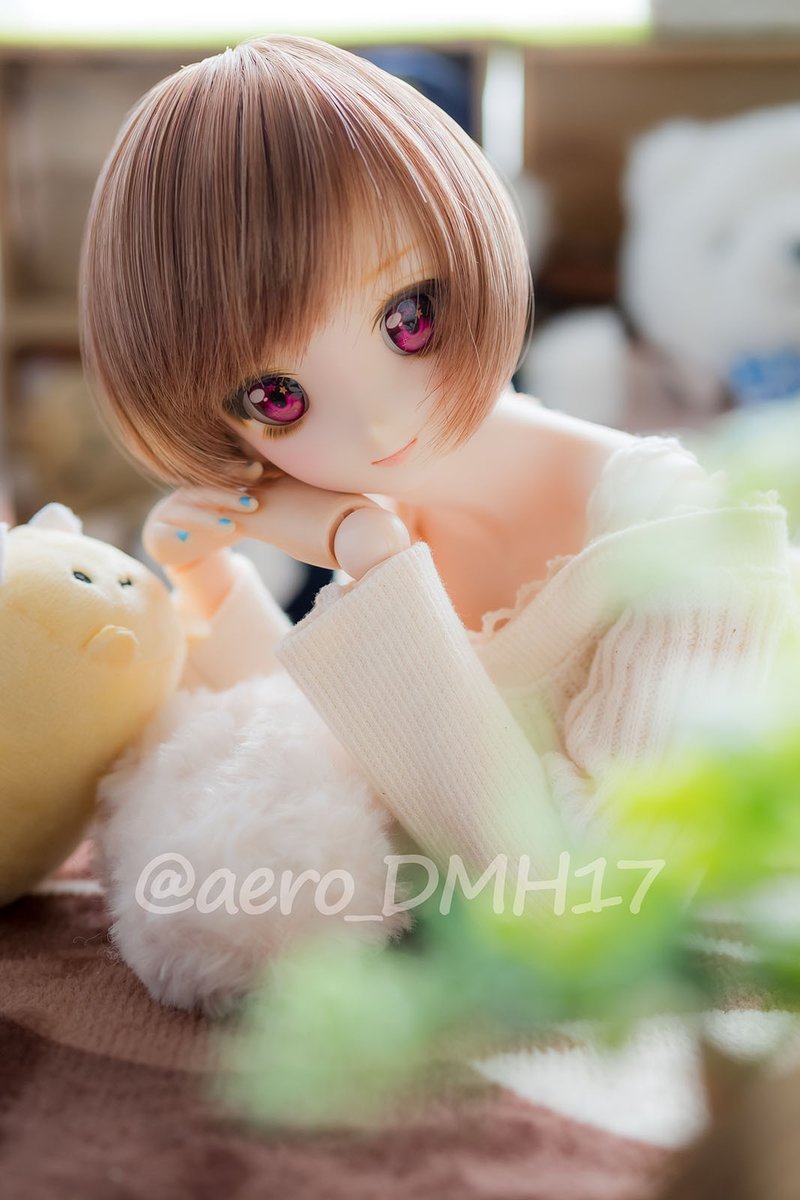 エアロ（過去形） tweet media