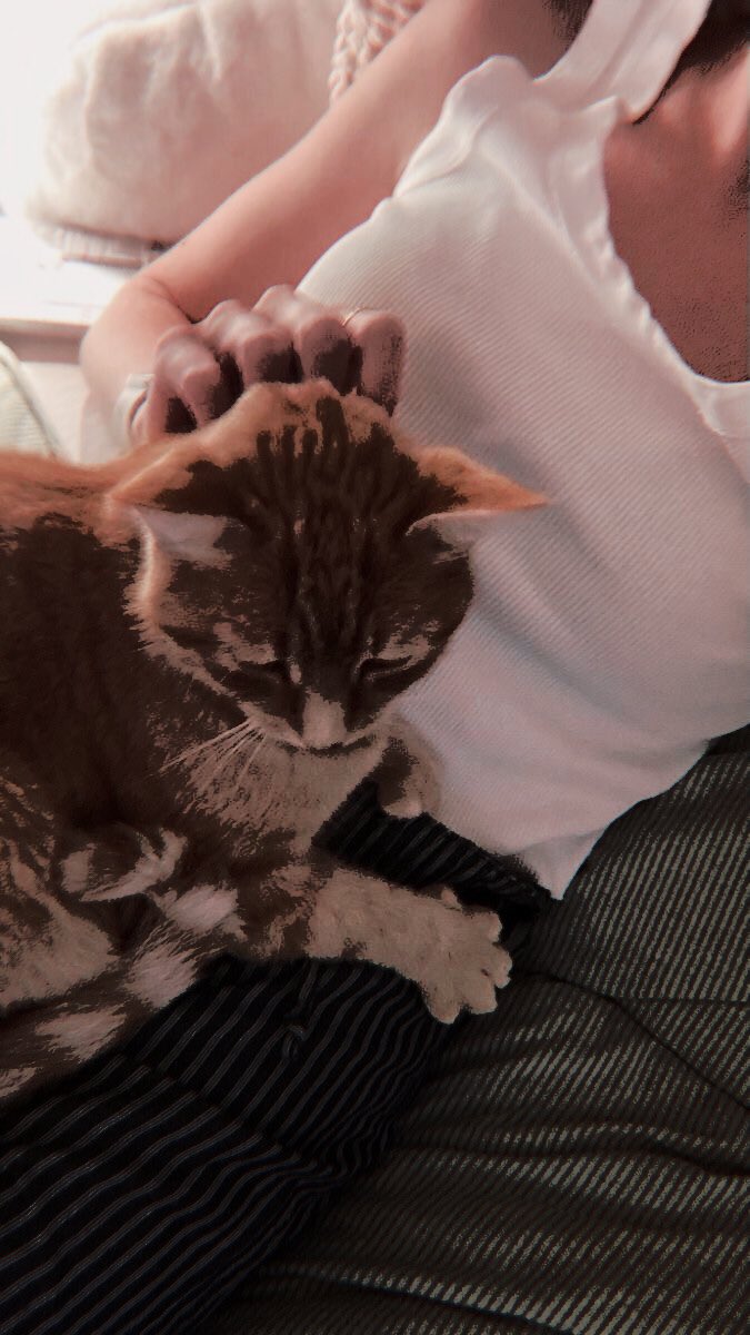 zαghettı . tweet media