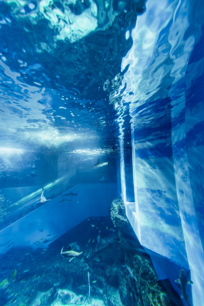 𝓀𝒾𝓀𝒾／ｶﾞﾗｽ玉 𓈒𓏸 𓆝𓊛 tweet media