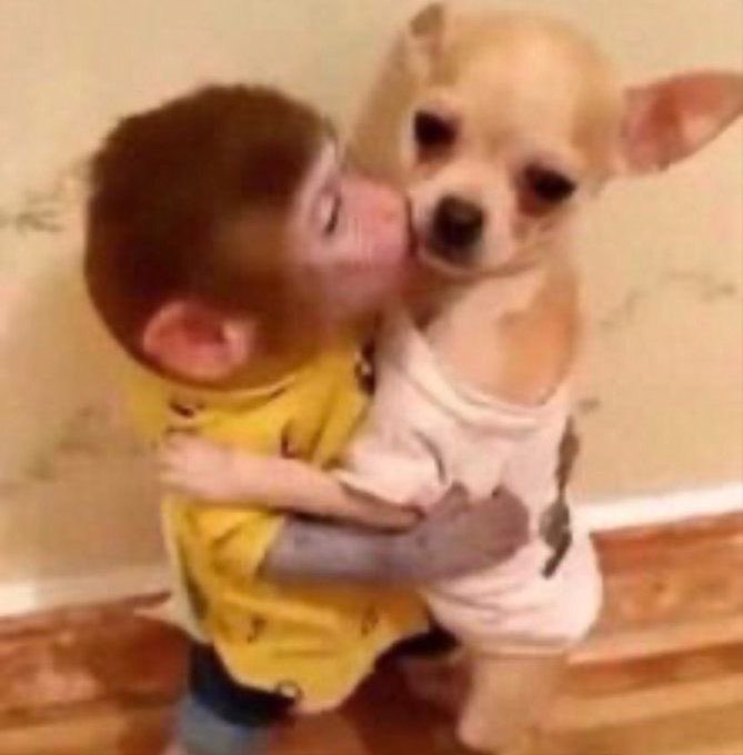 kwebz the truther tweet media