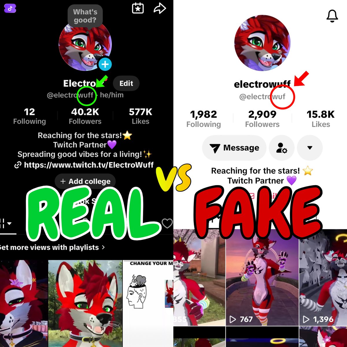 Electro_Wuff's tweet photo. For those with TikTok getting messages from “me”… 

No, I have not been messaging you. https://t.co/VhY1VameZY