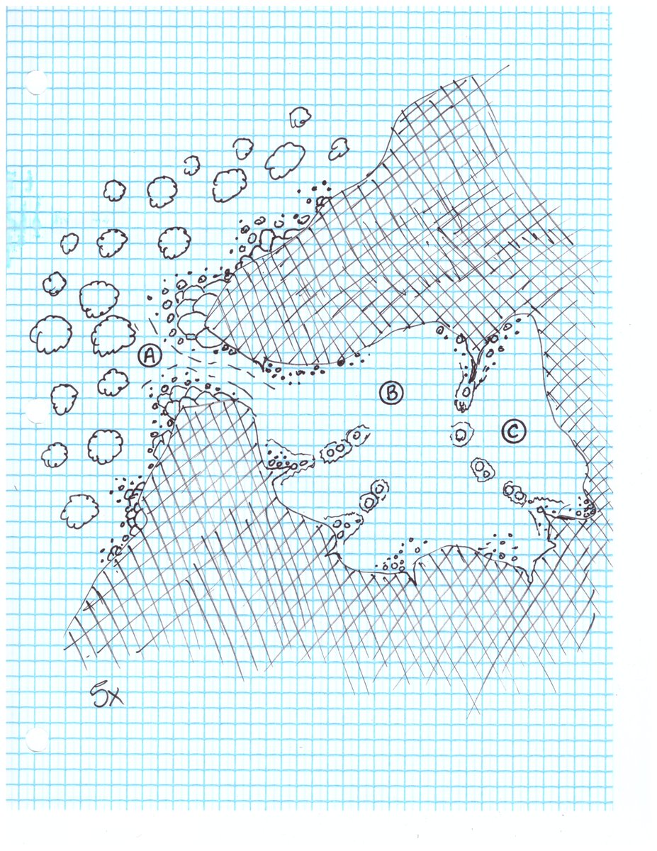 World Limit RPG tweet media