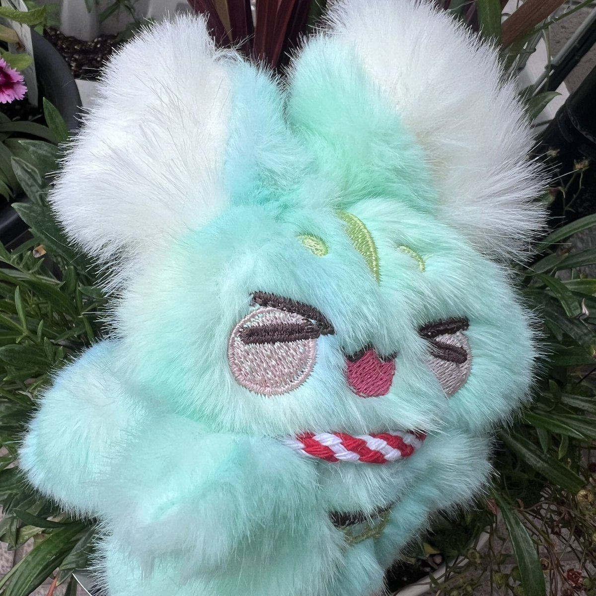 身代わり毛玉幻獣 くりーむそーだちゃん ふくちゅげ幻獣 くりーむそーだちゃんのおうち探しをメルカリ