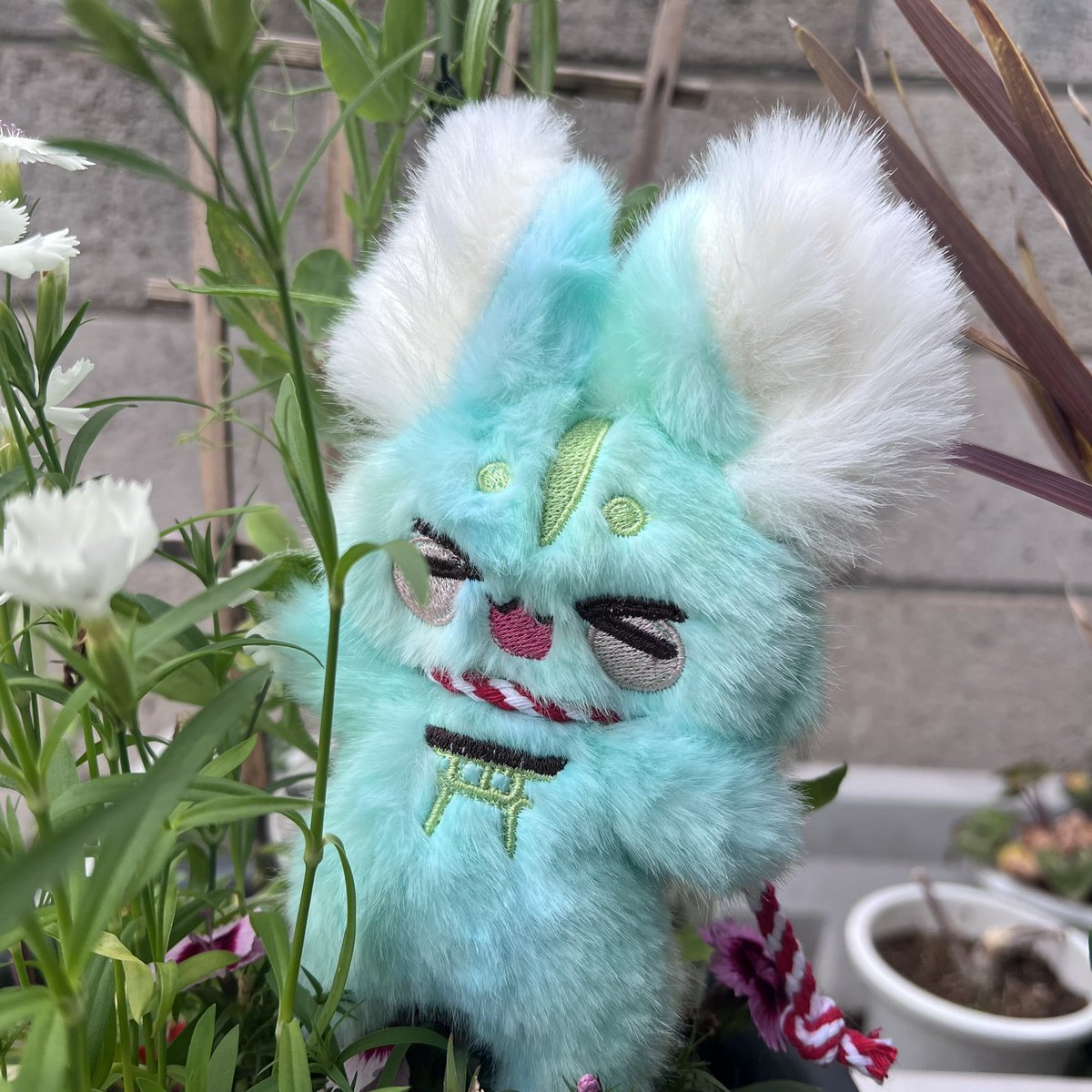 ふくちゅげ幻獣 くりーむそーだちゃんのおうち探しをメルカリ