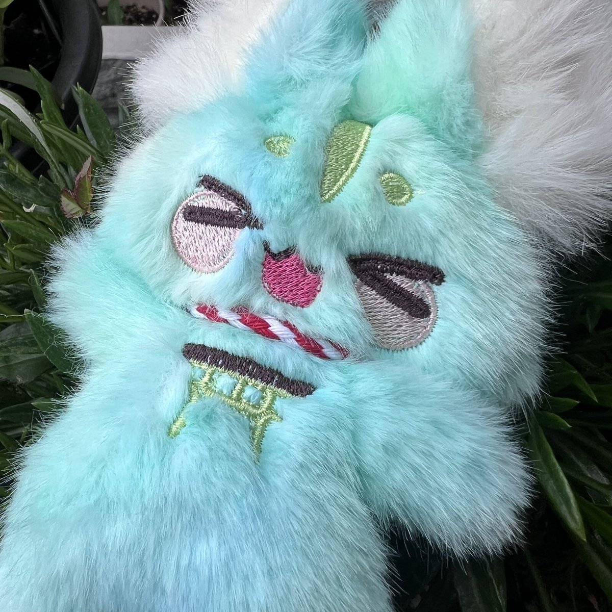 身代わり毛玉幻獣 くりーむそーだちゃん ふくちゅげ幻獣 くりーむそーだちゃんのおうち探しをメルカリ