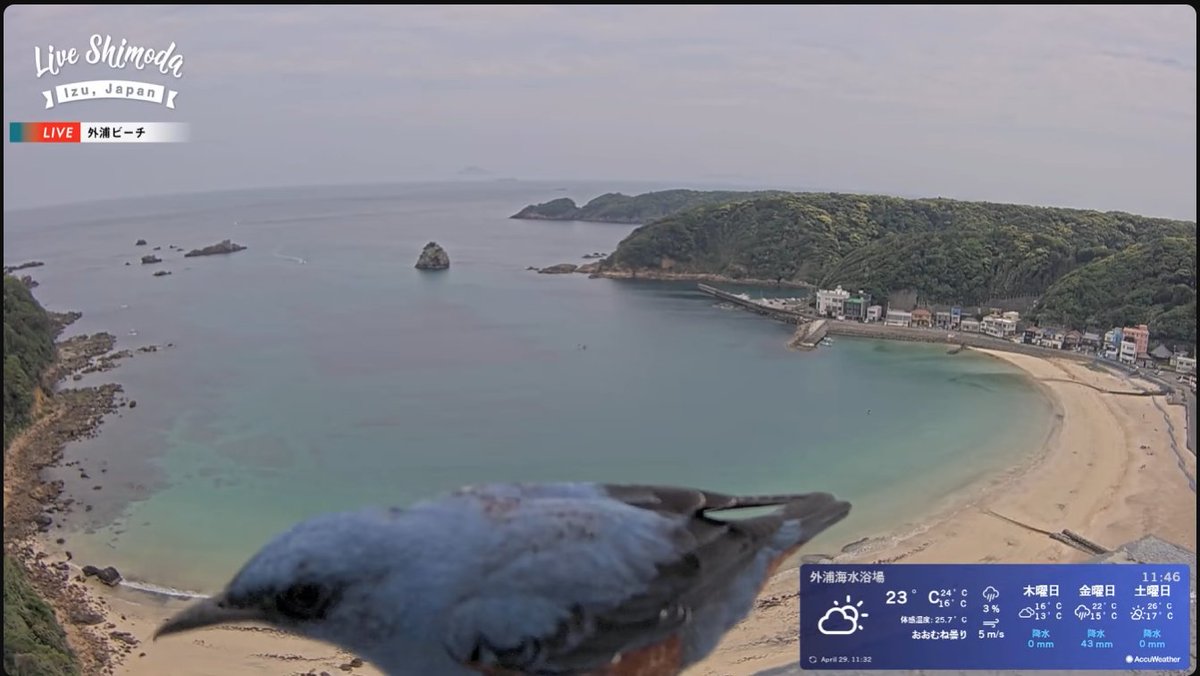 ヴァンザイダー tweet media