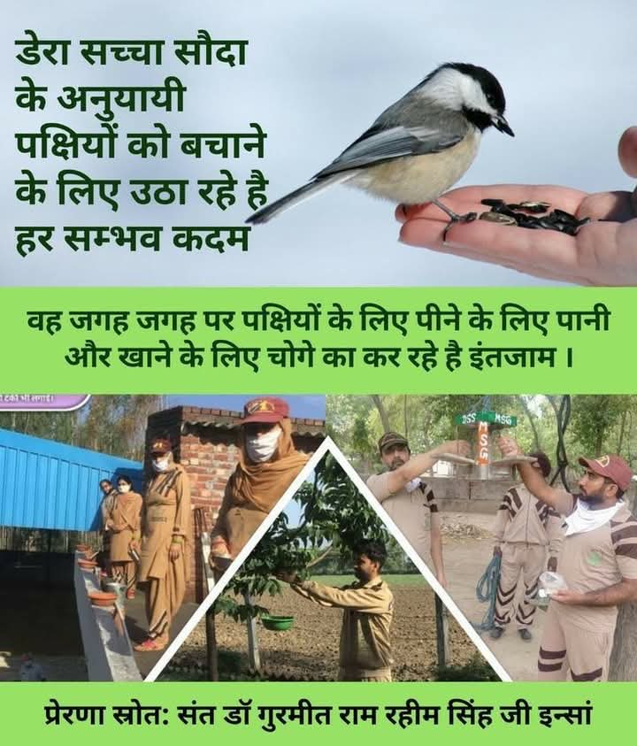 ajayarya1122's tweet image. In summer time it is hard to survive without water for any creature and with concept of #FeedEveryCreature by guidance of Saint Dr.  Ram Rahim Ji, #DeraSachaSauda devotees place water pots, birds food on their rooftops, public areas, gardens.