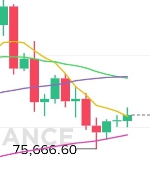 かにめし tweet media