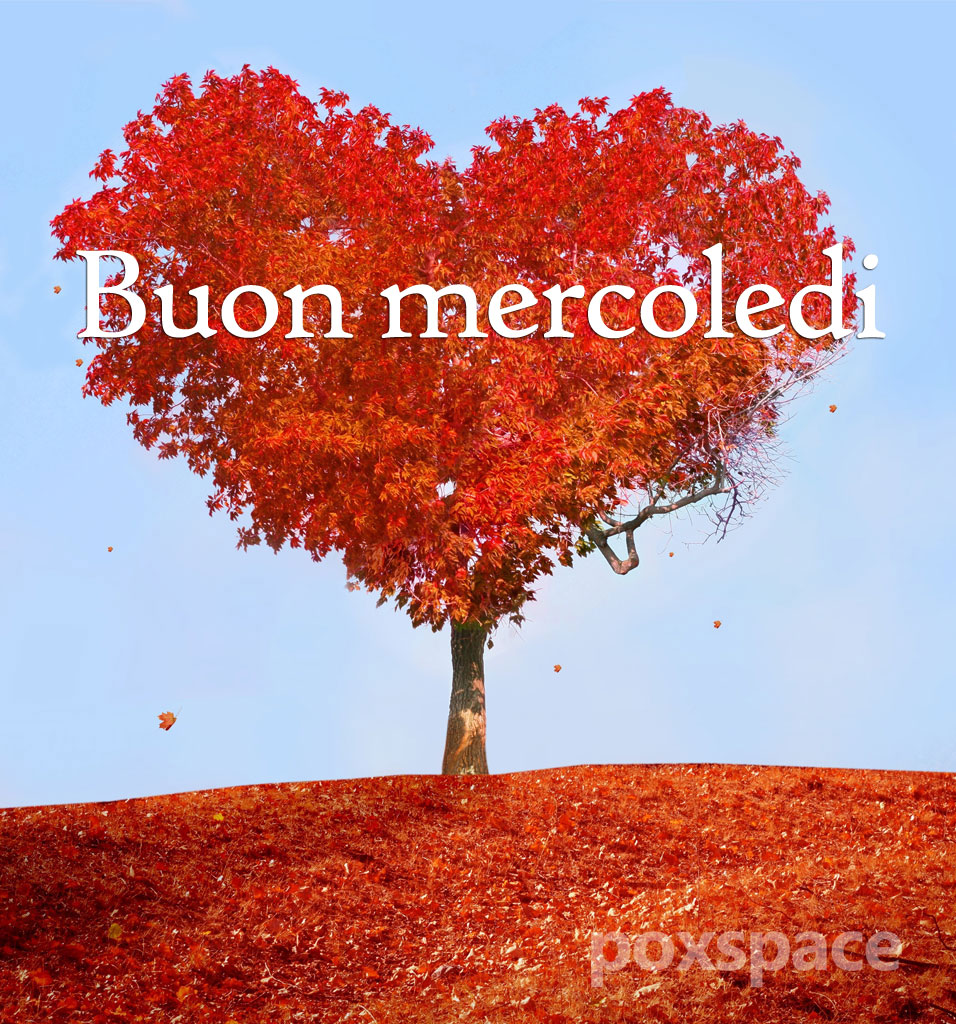 Matteo tweet media