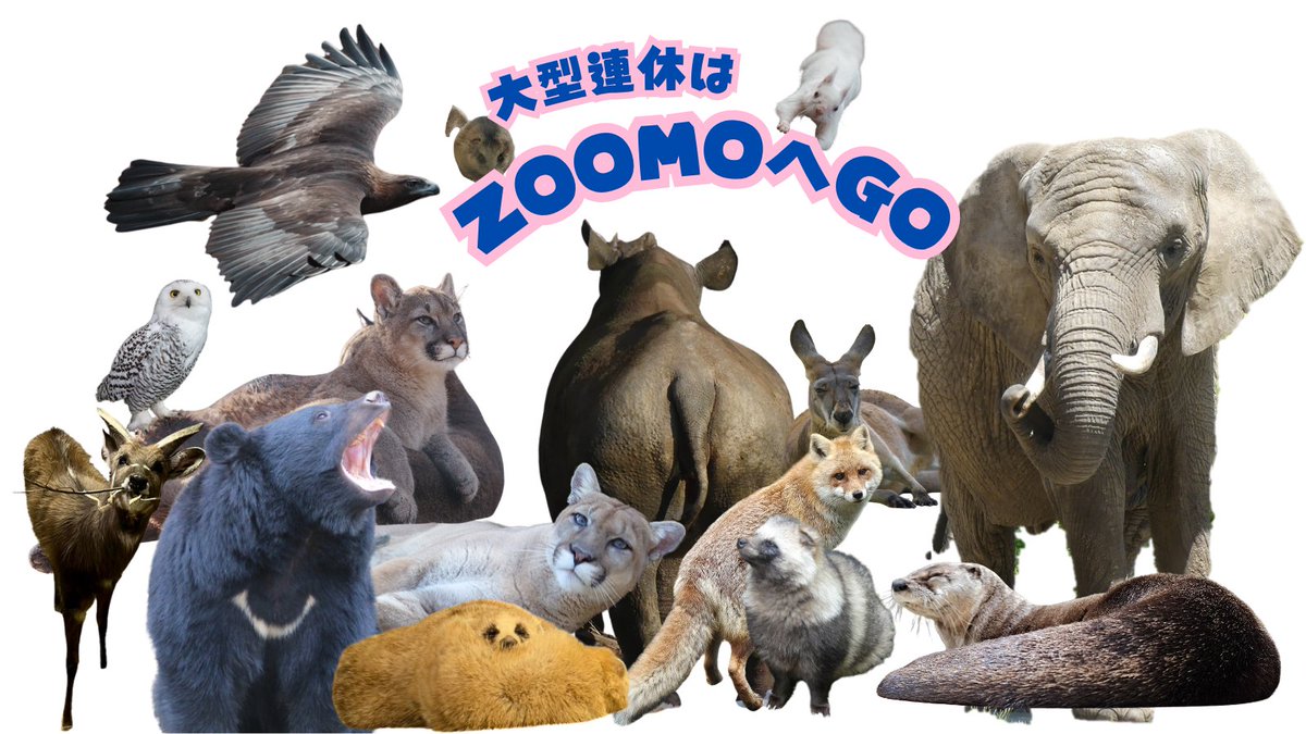 ZOOMOは5月6日（水）まで休まず営業 4月29日（水）と5月6日（水）は