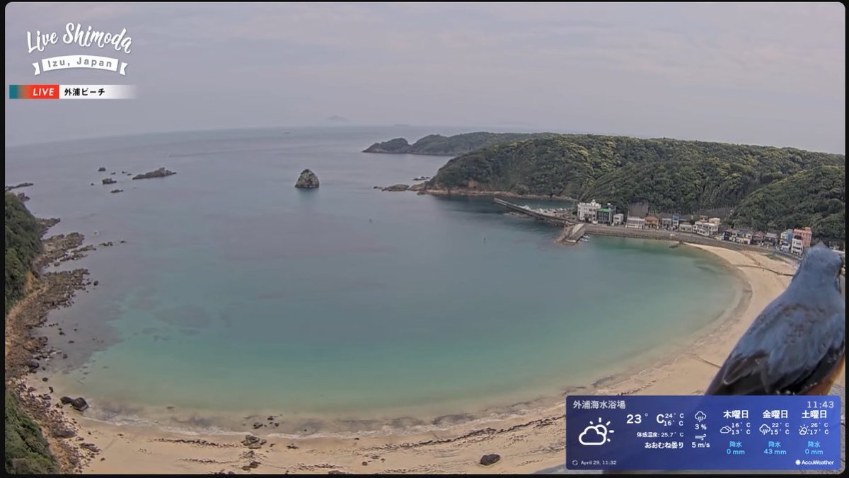 ヴァンザイダー tweet media