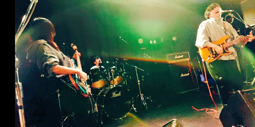 (=ｰωФ=)モカ🎀 tweet media