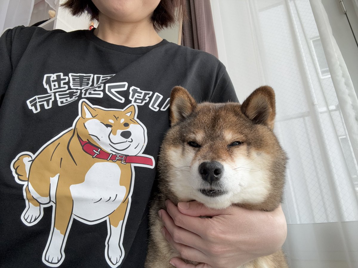 あず花｜おかーぽん tweet media