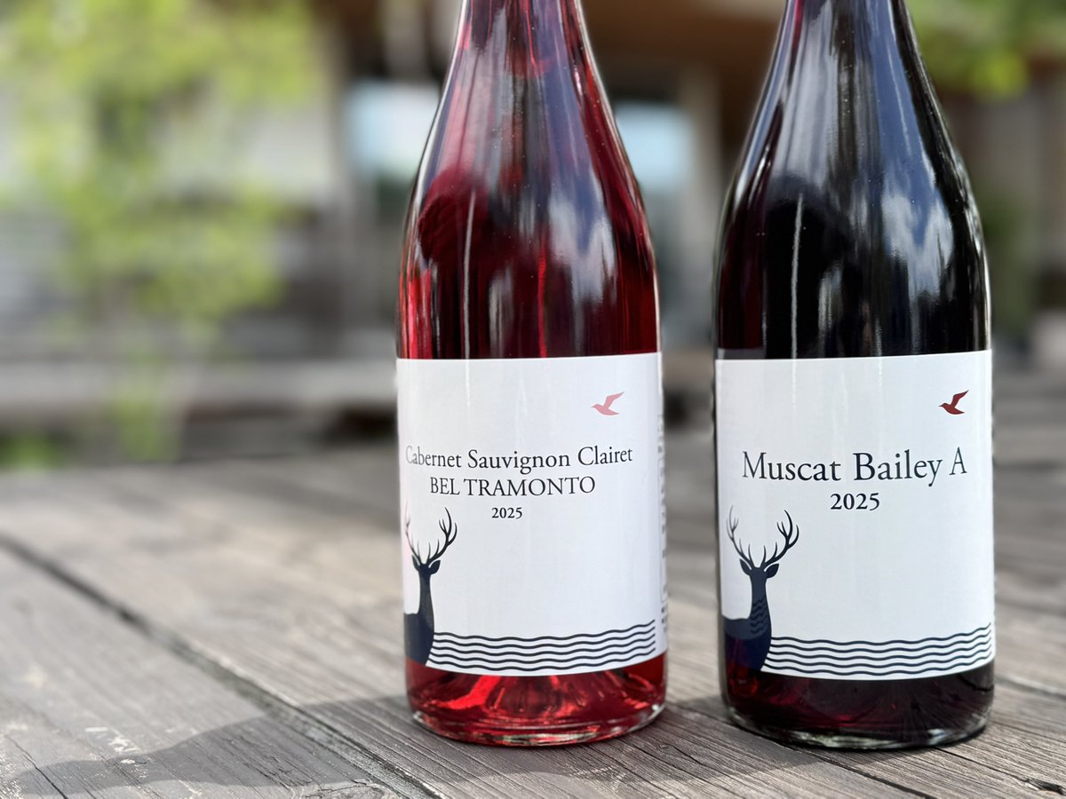 千葉ワイナリーの人 tweet media