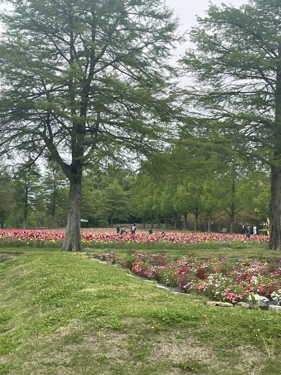 artlesstorick's tweet image. 滋賀農業公園ブルーメの丘でトリックARアート館、期間限定OPEN中です🙌

春の花がたくさん咲いていますよ🌷

ぜひ遊びに行ってみて下さい😊

＃トリックアート
＃ブルーメの丘
＃AR