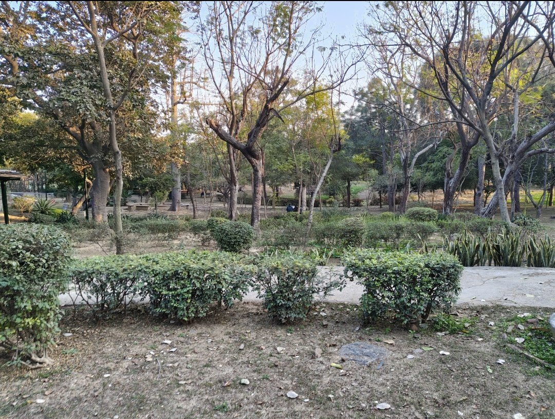 Dakota (Creators arc) tweet media