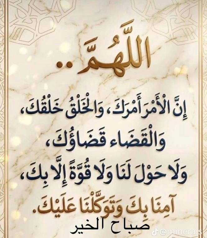 د.عبدالحميد عباس دشتي tweet media