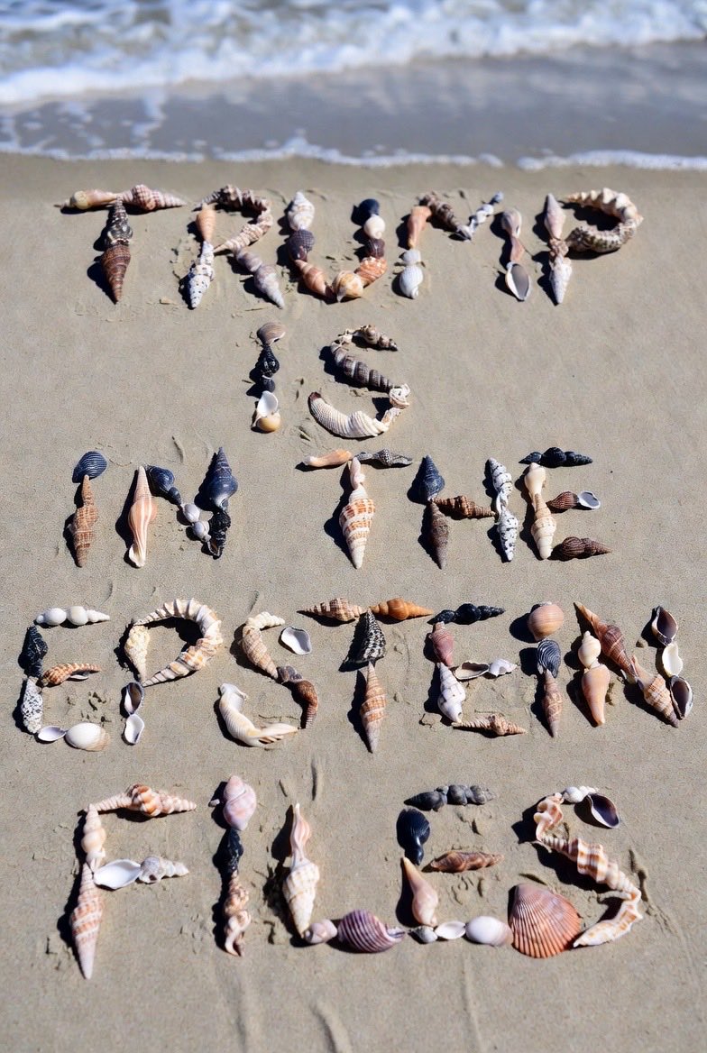 Mia 🇺🇸 tweet media