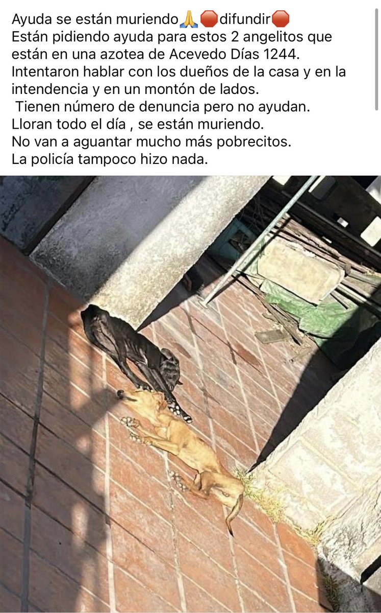 <a href="/diegodelacurva/">Min. Diego González González</a> <a href="/diego_vignolo/">Diego Vignolo</a> <a href="/jptaibo27/">Juan Pablo Taibo</a> 
Pueden difundir esto? Hay que sacar a esos perros de ahí YA