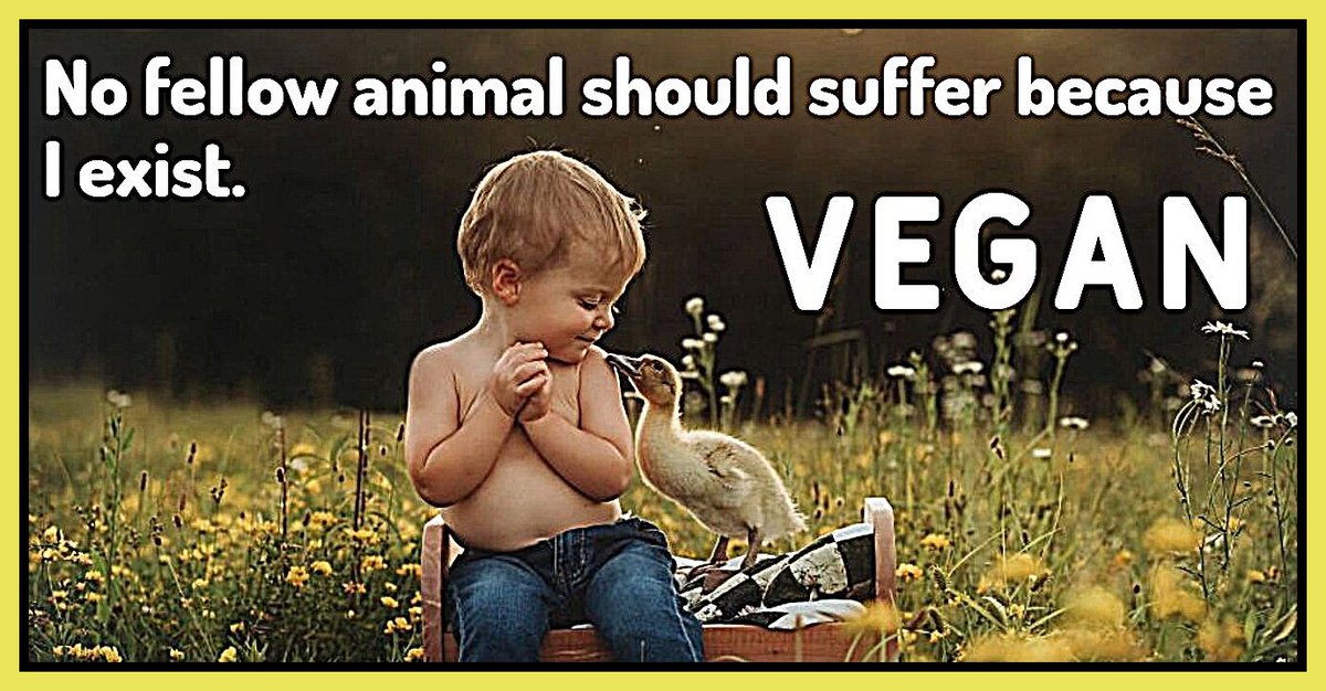 VeganTownUSA Ⓥ Ⓜ️ 🌱♻️🏌️‍♀️ tweet media