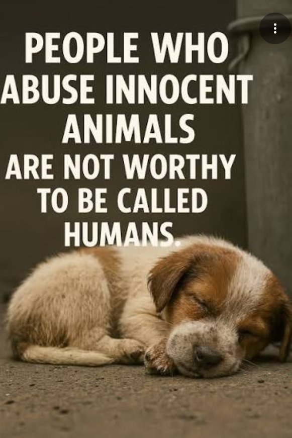 GOLDIE ☺ tweet media