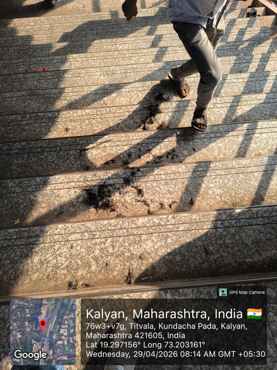 KalpeshPatil_TL's tweet photo. टिटवाळा रेल्वे स्टेशनवरील कसारा साईडच्या पश्चिम बाजूच्या फूटओव्हर ब्रिजवर दररोज कोंबडीचे आतडे व पिसे टाकलेली दिसतात.  परिसरात अत्यंत अस्वच्छता निर्माण होत असून दुर्गंधी पसरते.सदर बाब अत्यंत गंभीर असून तात्काळ साफसफाई करून नियमित देखभाल करण्यात यावी. 
@RailMinIndia @RailwaySeva https://t.co/K9LUe3OQ1k