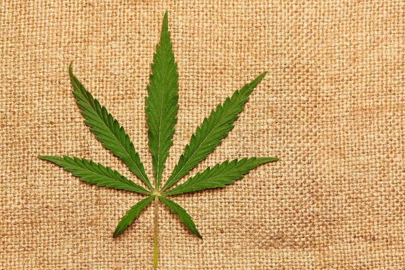 Ibrahim 🇧🇷 🇨🇺 🇵🇸 🇮🇷 tweet media