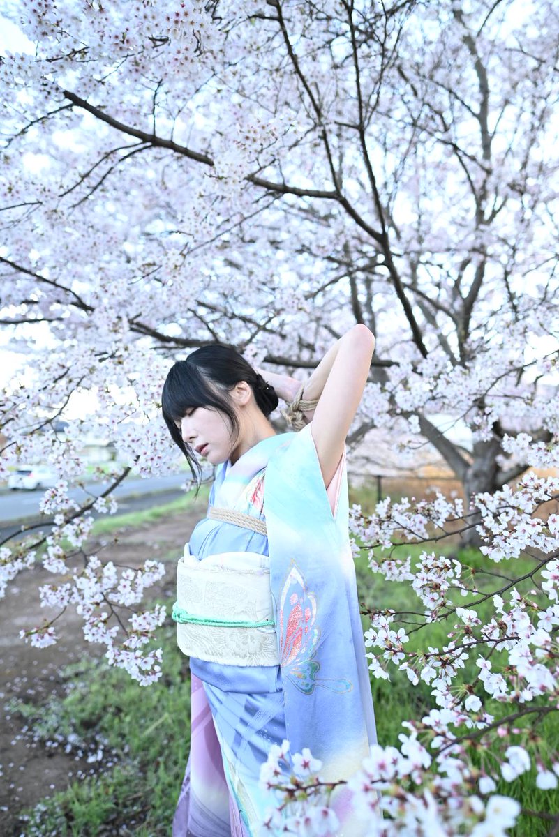 anguradaisuki's tweet photo. https://t.co/KOxWkz0iWA