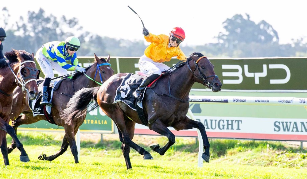 Giddy Up With Gareth Hall tweet media