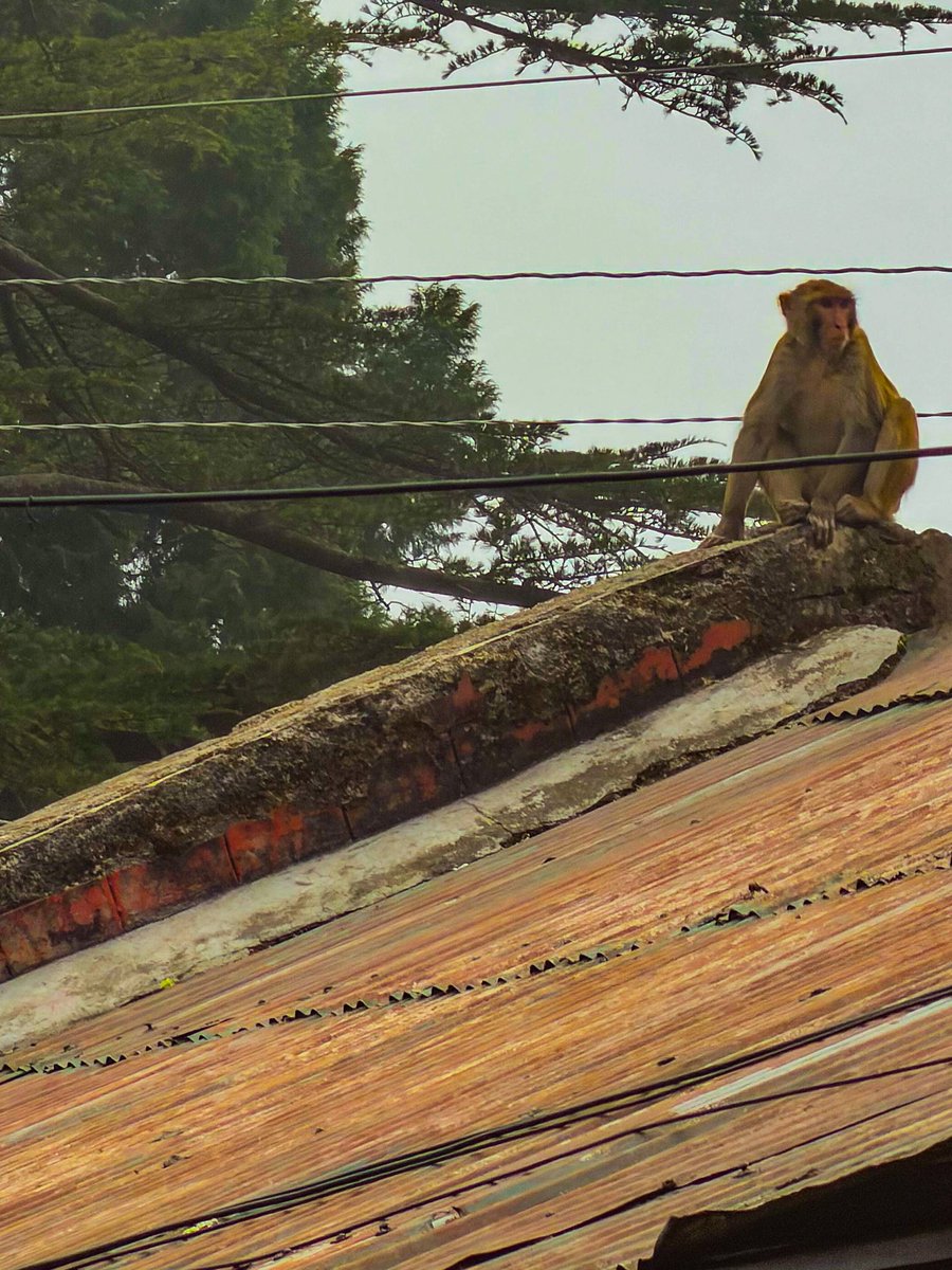 artizzzz's tweet image. If you suddenly and unexpectedly feel joy, don’t hesitate. Give in to it. 
life has some possibility left. 
whatever it is, don’t be afraid of its plenty. Joy is not made to be a crumb. (Don't Hesitate)

Mary Oliver 

#TuesdayTexts