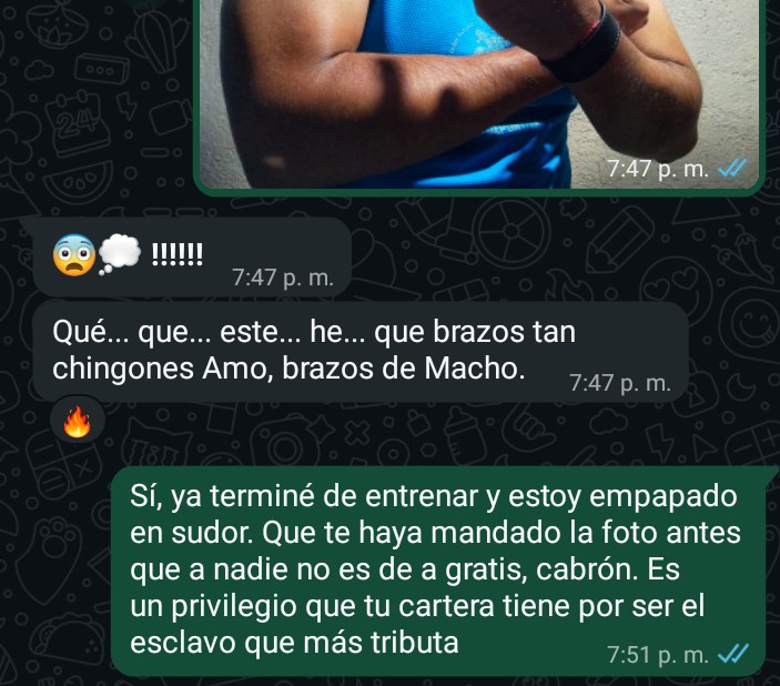Un esclavo acaba de quedar mudo al ver el tamaño de mis brazos.  Mientras tú solo puedes mirar, hay quienes ya están pagando por mi sudor. Vas a seguir mirando como un perdedor o vas a tributar por mi autoridad?  #Findom #Alpha #Master