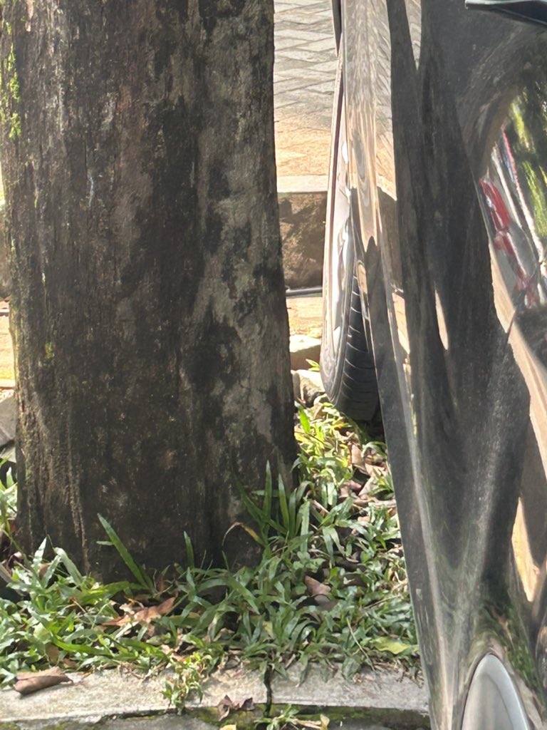 ️️️️️️️ ️ tweet media