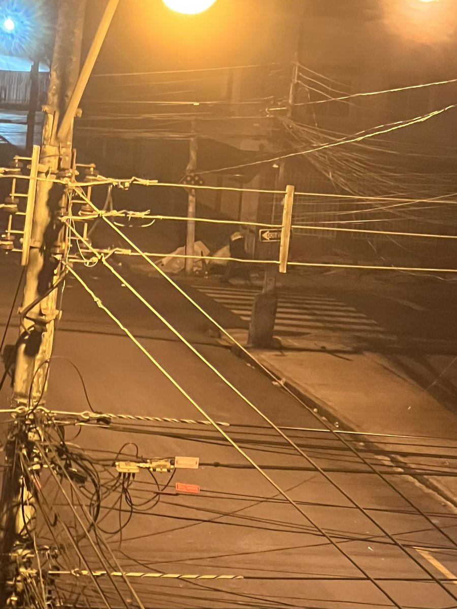 Ana Patricia Woelke tweet media