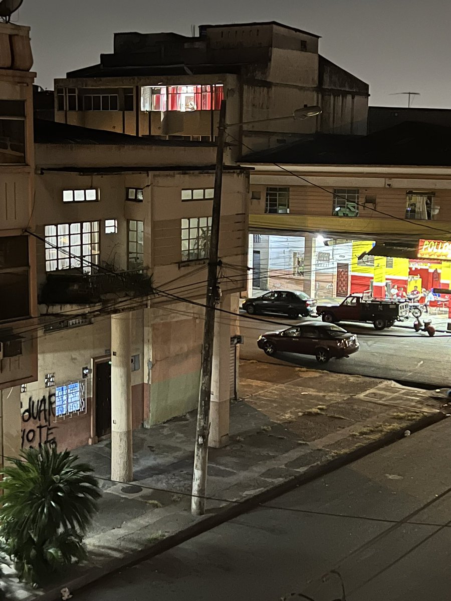 Ana Patricia Woelke tweet media